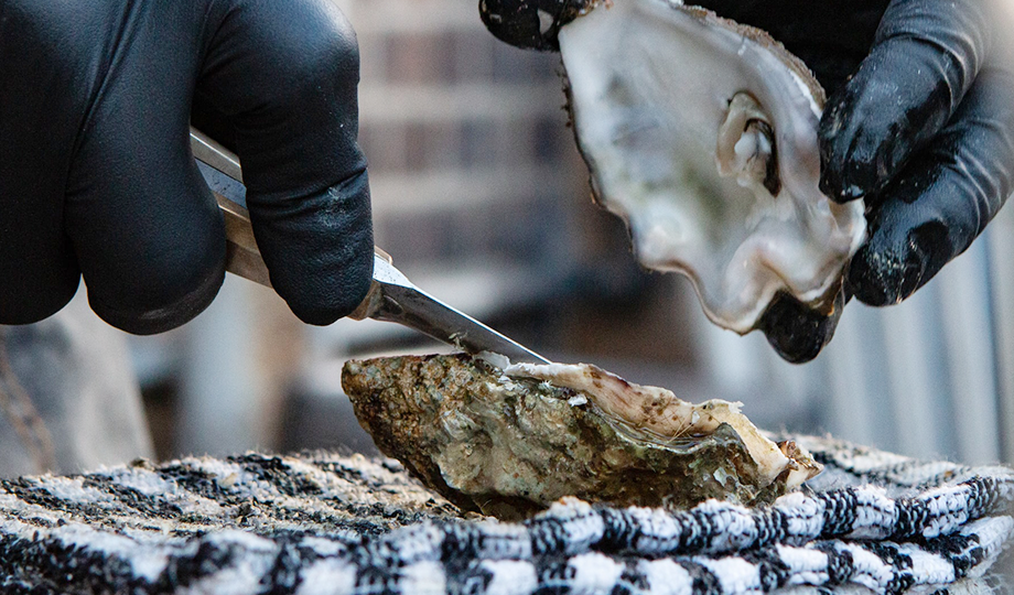 920x540 tips membuka tiram dengan mudah